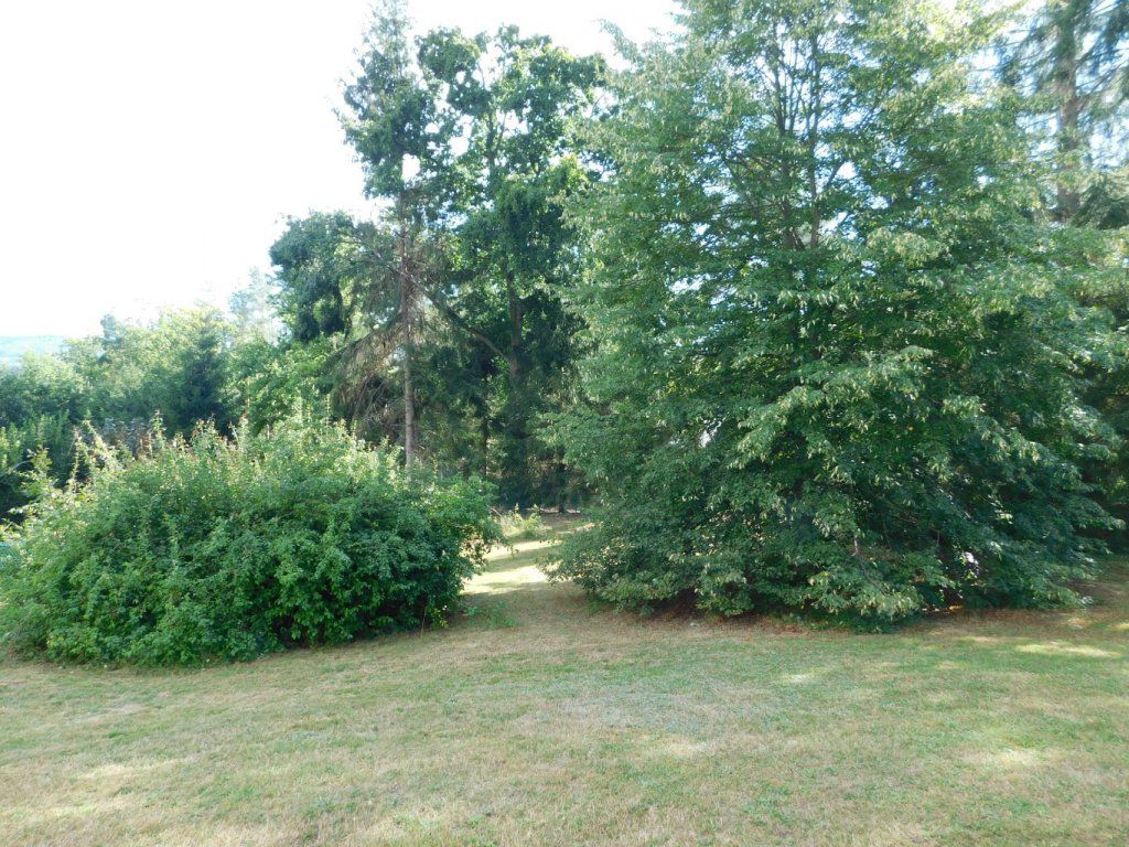 le parc