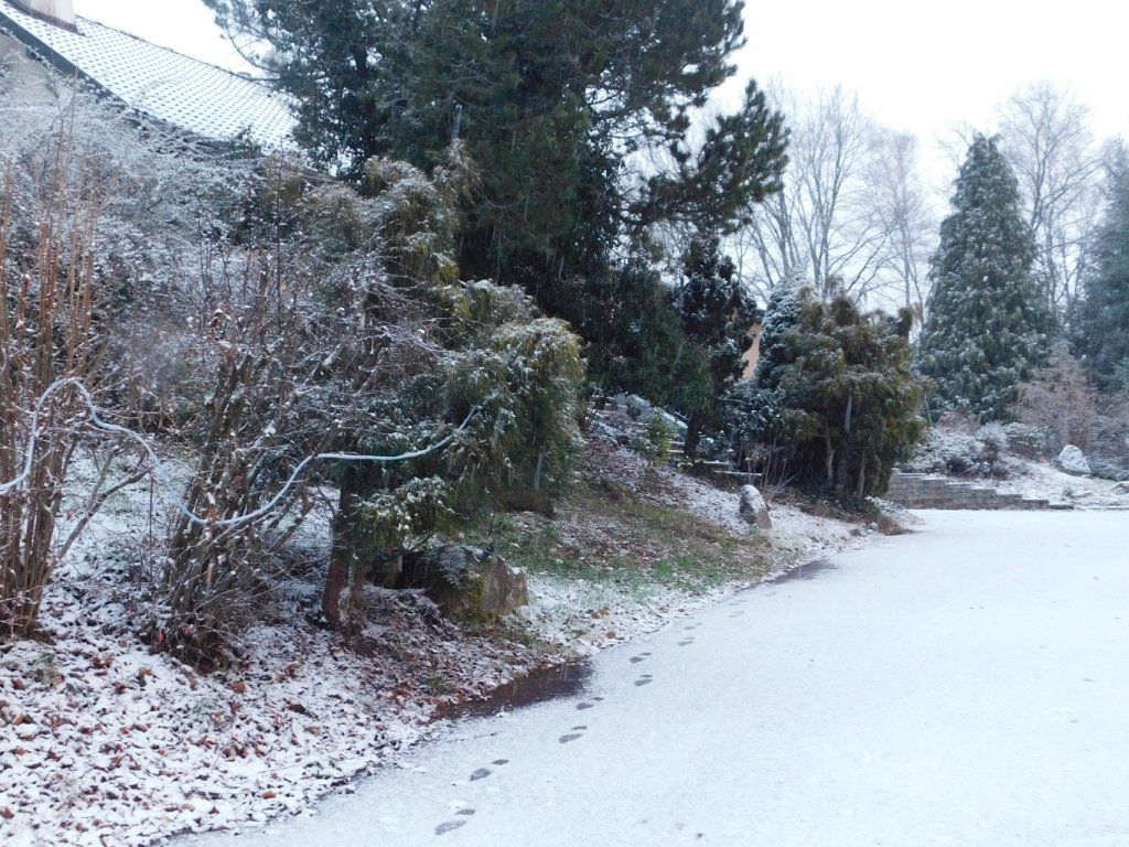 La maison d'hôtes sous la neige