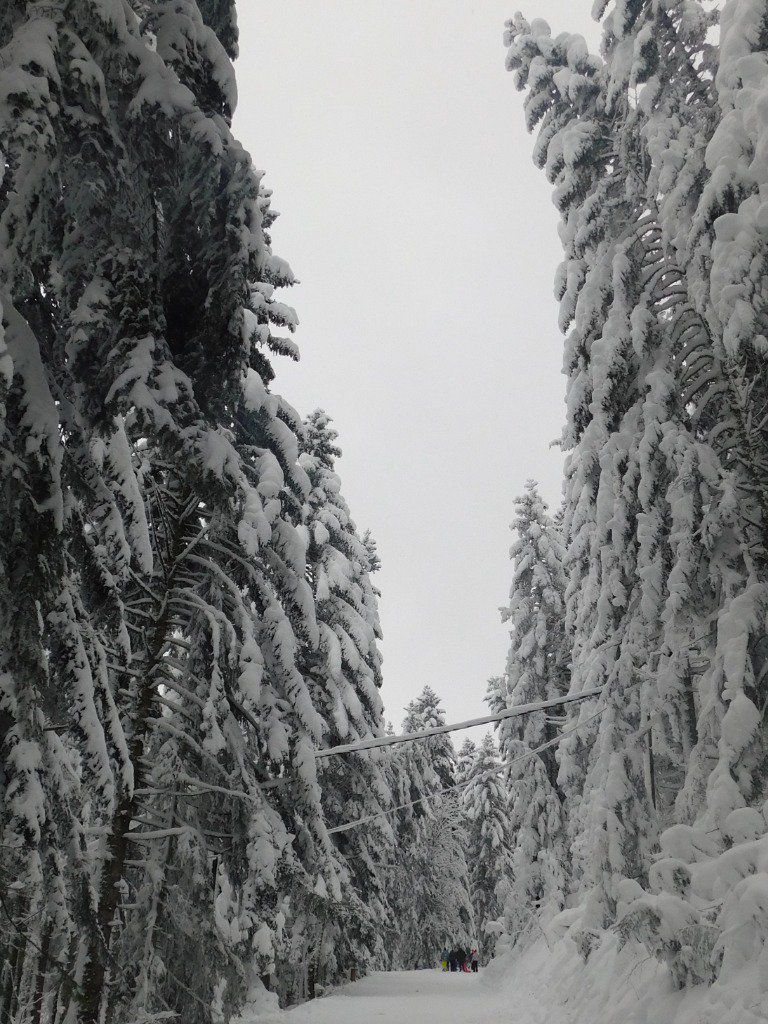 Station Gérardmer, la piste ski de fond